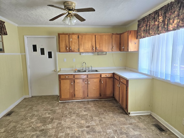 kitchen with crown molding, ceiling fan, and sink