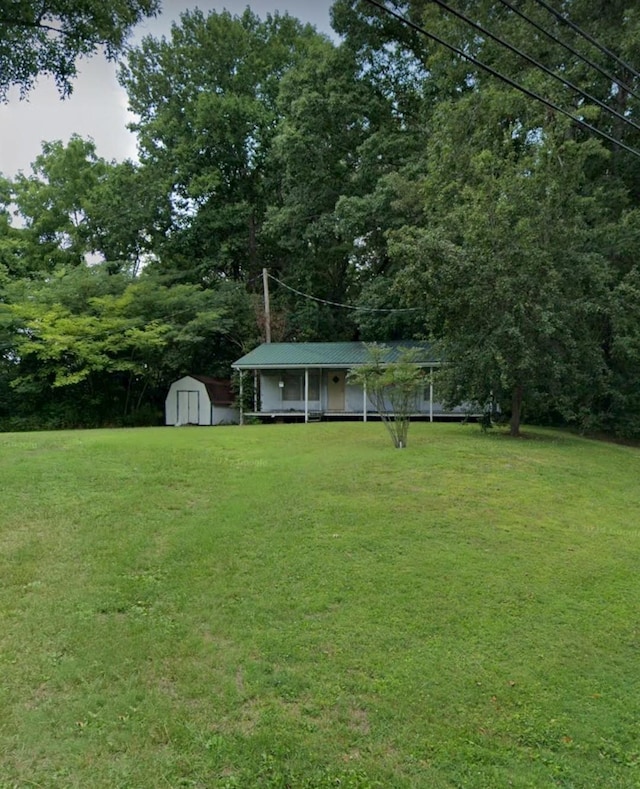 view of yard featuring a storage shed