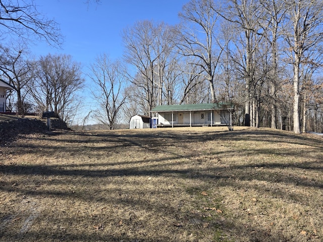 view of yard with a shed