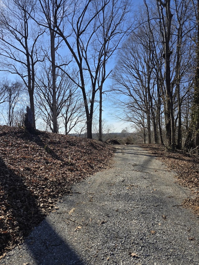 view of road