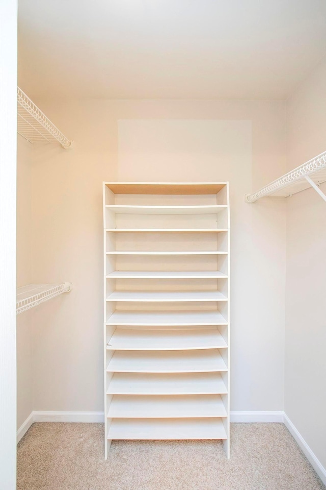 spacious closet featuring carpet