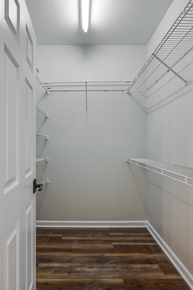 walk in closet featuring dark hardwood / wood-style floors