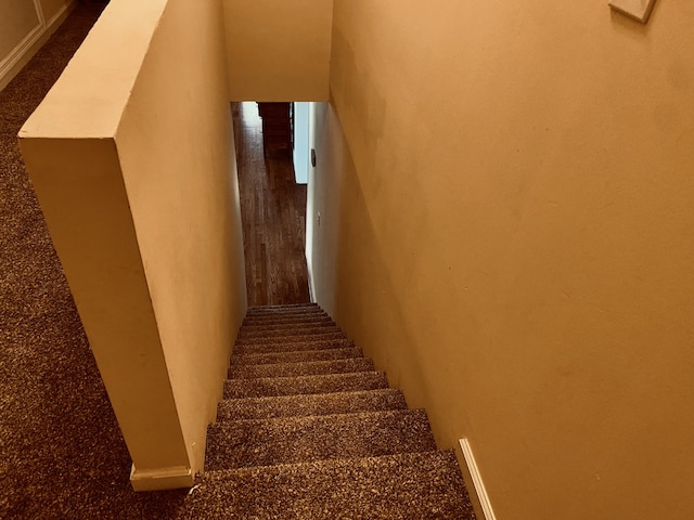 stairs with carpet floors