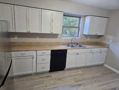 kitchen featuring dishwasher, light hardwood / wood-style floors, white cabinetry, and sink