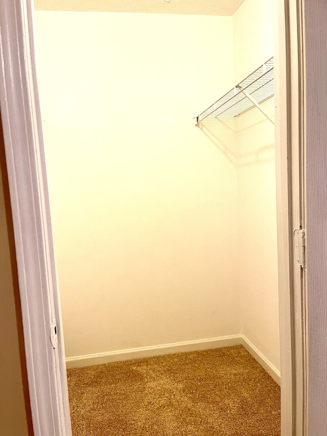 walk in closet featuring carpet