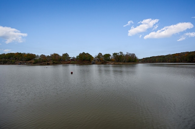 view of water feature