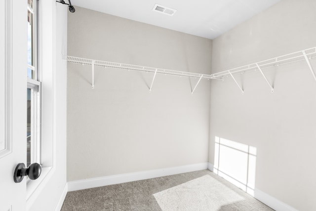 spacious closet with carpet