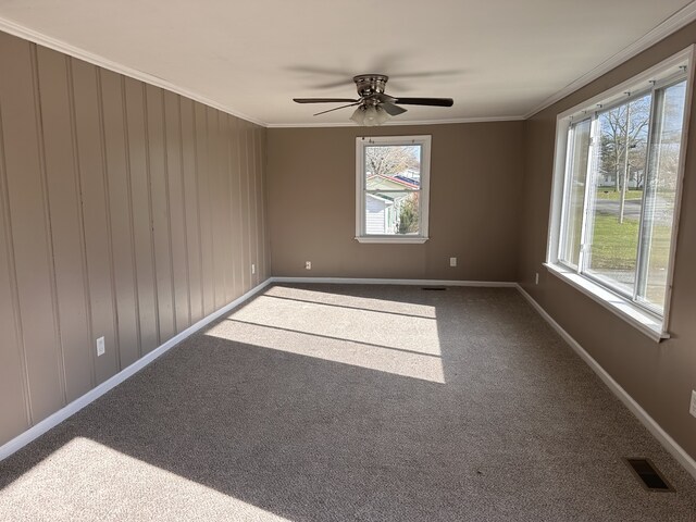 empty room featuring ceiling fan, carpet, and ornamental molding