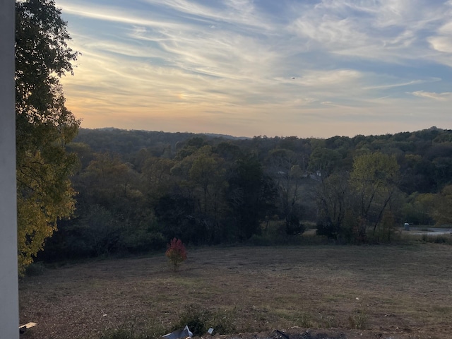1320 Rambo Hollow Rd, Lewisburg, TN 37091 - view of mountain backdrop featuring a forest