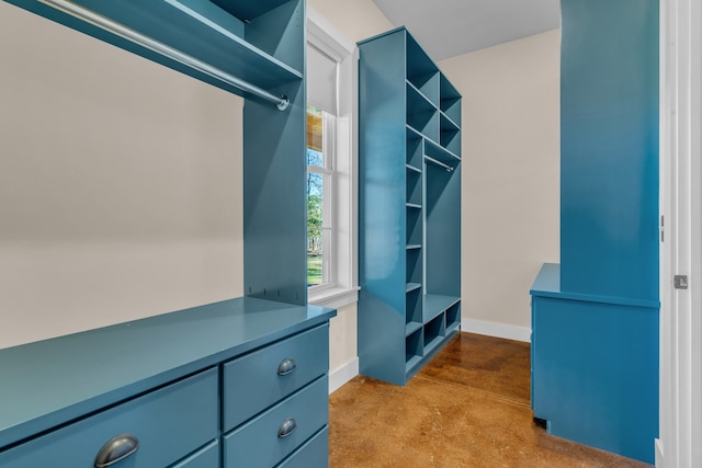 walk in closet with light carpet