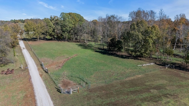 view of yard featuring a rural view