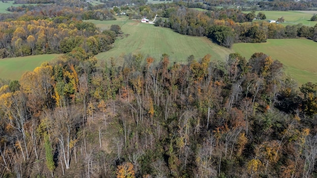4466 Gunn Rd, Springfield, TN 37172 - photo 62
