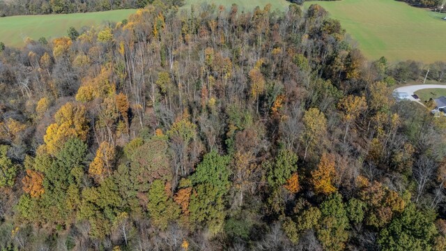 4466 Gunn Rd, Springfield, TN 37172 - photo 61