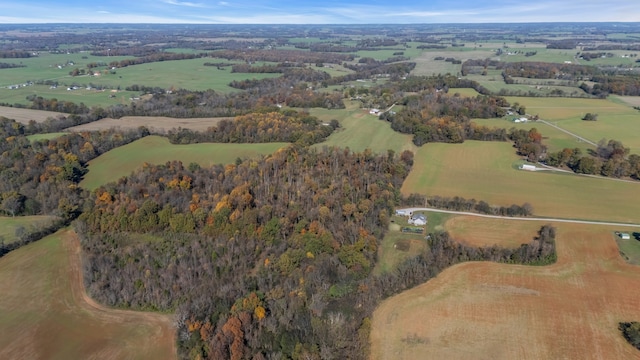 drone / aerial view with a rural view