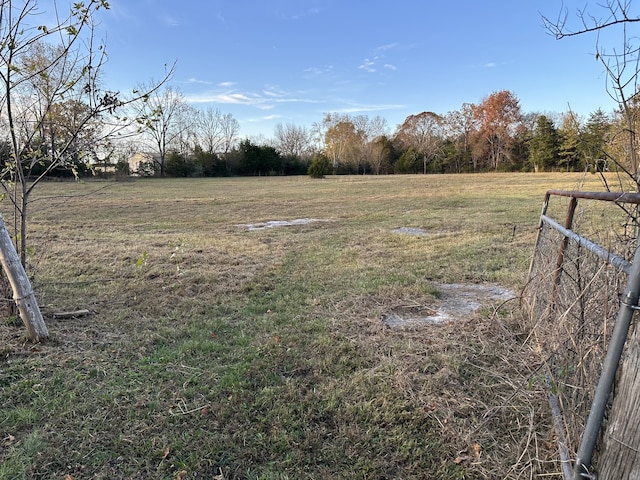 view of yard with a rural view