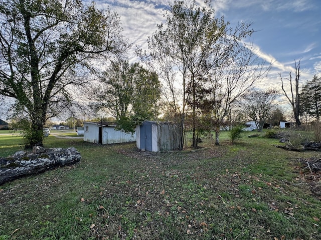 view of yard with a shed