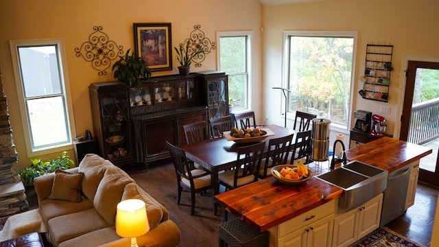 dining area with sink and dark wood-type flooring