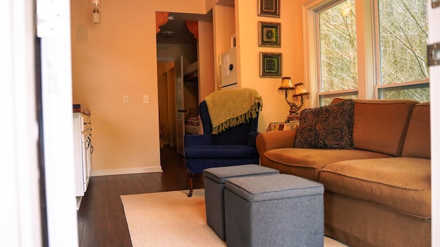 living room featuring dark hardwood / wood-style flooring