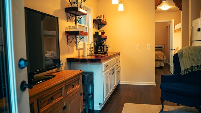 bar featuring sink, butcher block countertops, and dark hardwood / wood-style flooring