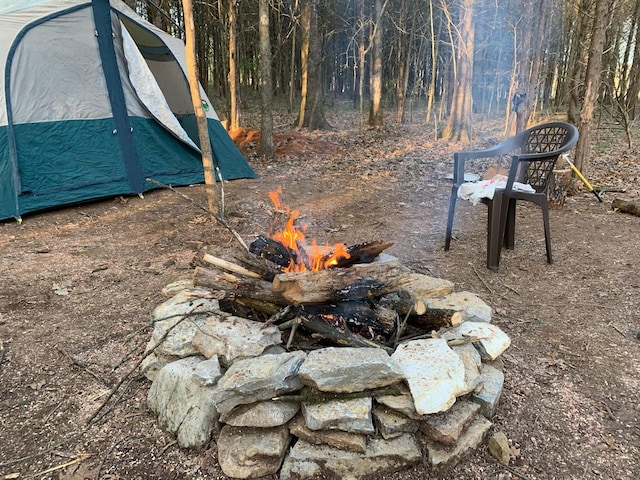 view of yard featuring a fire pit