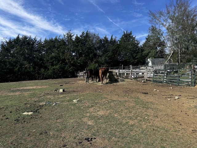 view of yard with a rural view