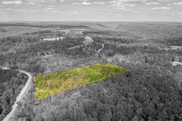 677 Golden Pointe Rd, Spencer TN, 38585 land for sale