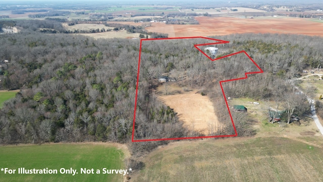 birds eye view of property featuring a rural view