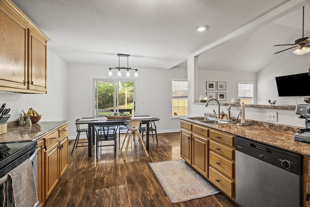 kitchen with dark stone countertops, sink, dark hardwood / wood-style floors, and stainless steel appliances