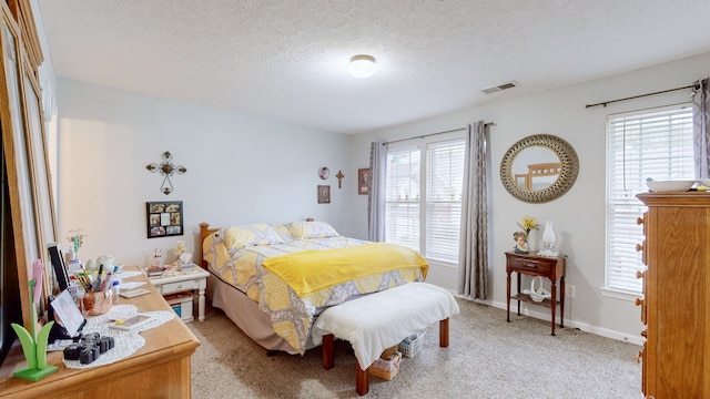 carpeted bedroom with multiple windows and a textured ceiling