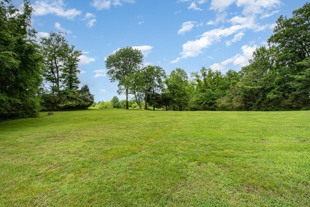 884 Pinnacle Hill Rd, Kingston Springs, TN 37082 - view of green lawn
