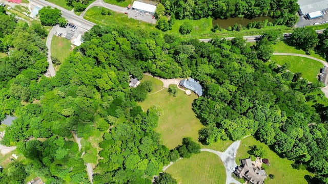 884 Pinnacle Hill Rd, Kingston Springs, TN 37082 - drone / aerial view