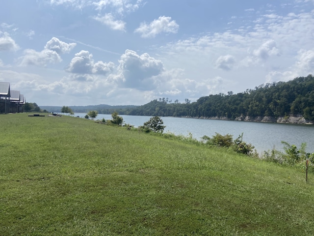 Listing photo 2 for 1311 Hardin Bottom River Rd, Clifton TN 38425