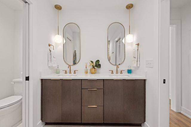 bathroom featuring toilet, vanity, and wood-type flooring