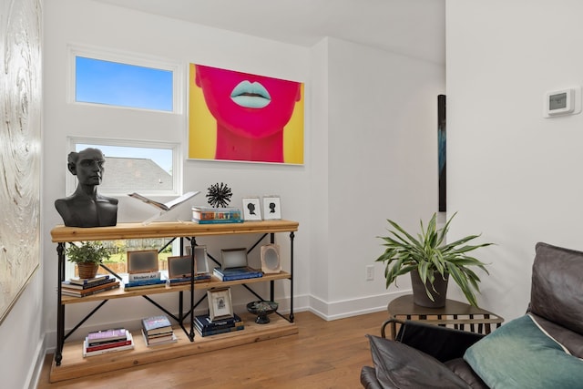 living area featuring wood-type flooring