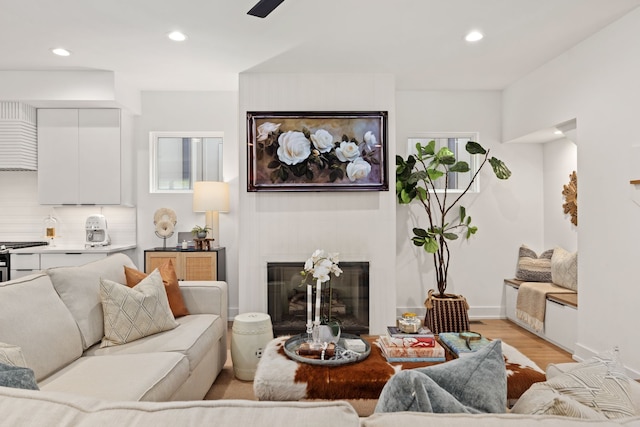 living room with a fireplace and light hardwood / wood-style flooring