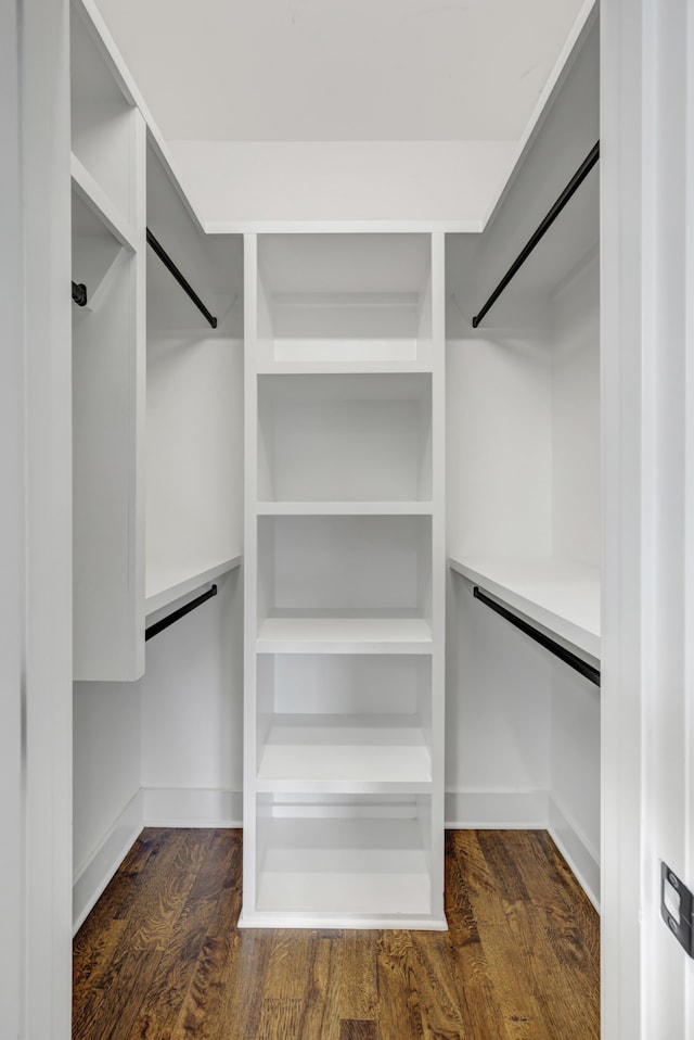 spacious closet featuring dark hardwood / wood-style floors