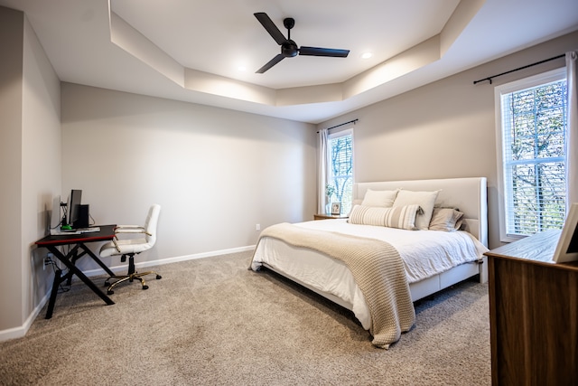 bedroom with a raised ceiling, multiple windows, ceiling fan, and carpet