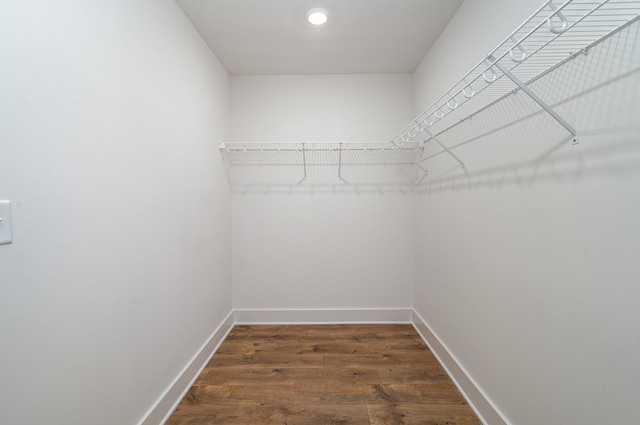 spacious closet featuring dark wood-type flooring