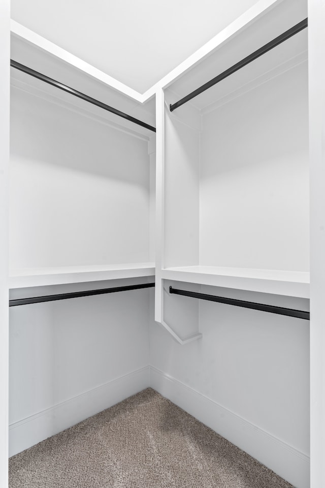 spacious closet featuring carpet flooring