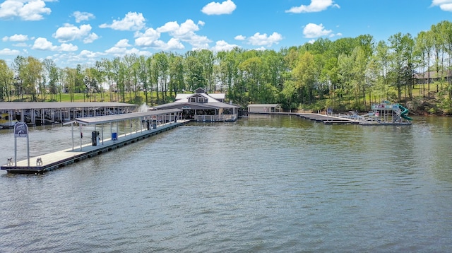 dock area with a water view