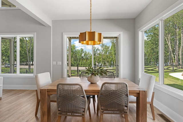 dining room with a healthy amount of sunlight and a chandelier