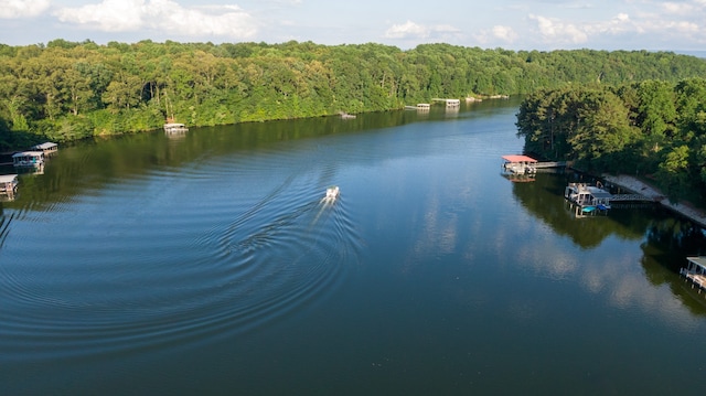 water view with a dock