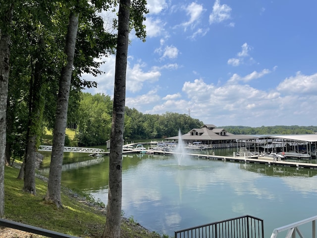 dock area with a water view