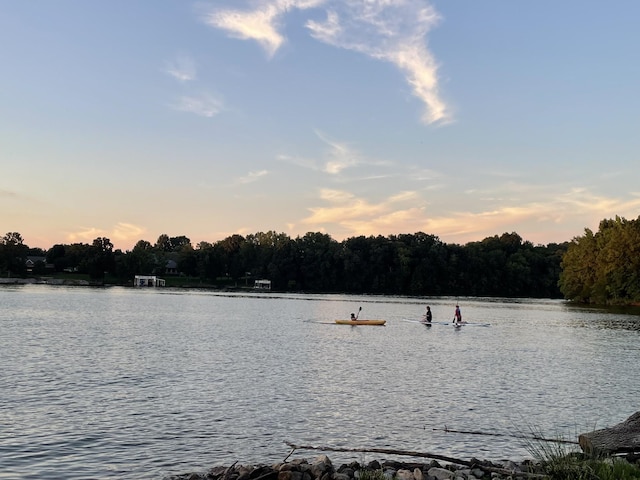 property view of water