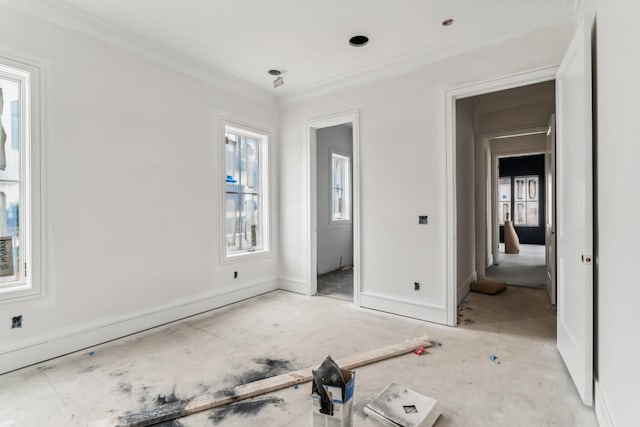 spare room featuring crown molding