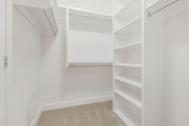 walk in closet featuring light colored carpet