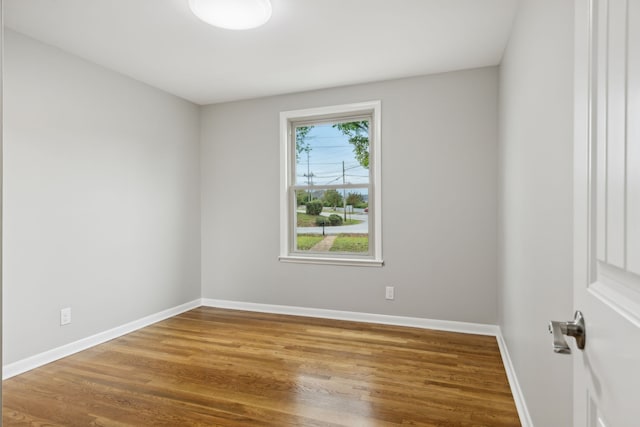 spare room featuring wood-type flooring