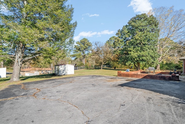 view of yard with a patio and a storage shed