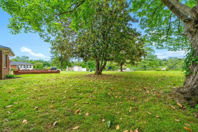 3 Hillwood Ct, Clarksville, TN 37043 - view of grassy yard