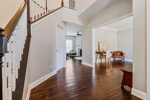 entryway featuring ceiling fan, crown molding, and dark hardwood / wood-style flooring